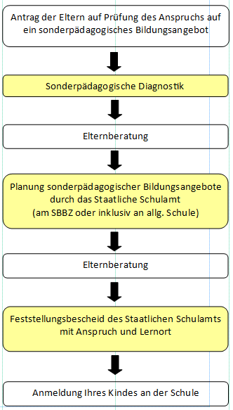 Download Grafik Sonderpädagogische Überprüfun