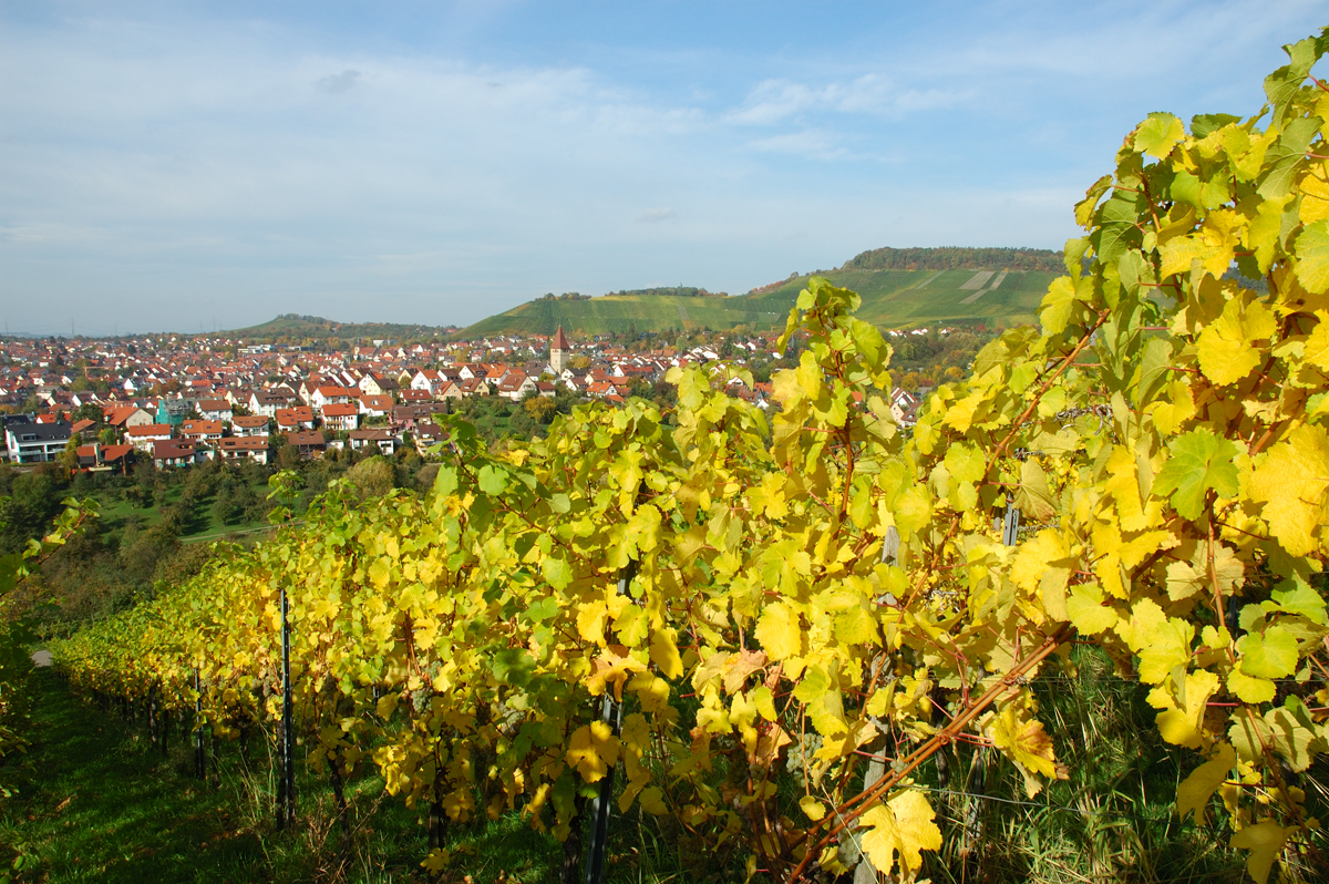 Landschaftsbild: Korber Kopf