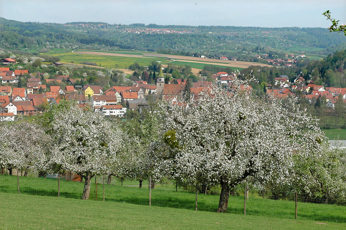 Bild von Oppenweiler und Umgebung
